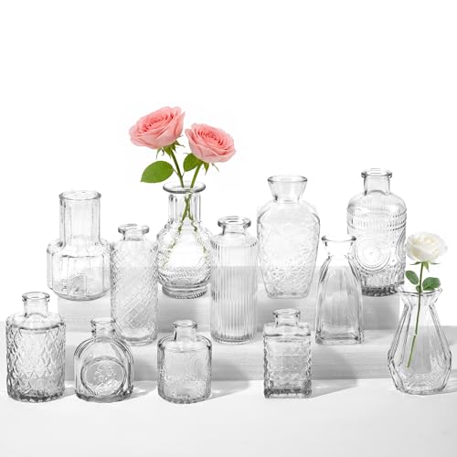 12 Pack Glass Bud Vase Set, Small Flower Vase Set Bud Vases for Wedding Centerpiece Table Decor, Vintage Small Vases for Room Home Dining Party Table Center Decor (Clear Set, 12 Pack) - color: Clear Set, size: 12 Pack