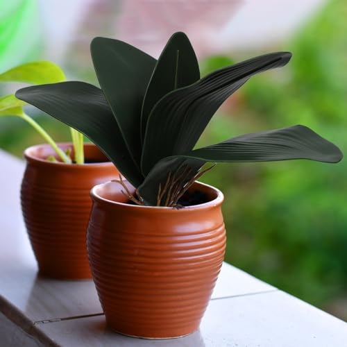 ARTIBETTER 3 Pcs Artificial Phalaenopsis Orchid Leaf Stems with 5 Green Leaves Each Eva Foam for Home Office Party Decoration