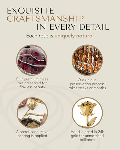 Forever Rose 24K Gold Dipped Real Rose – Handmade, Long-Lasting Preserved Flower in Leather Case – Romantic Gift for Anniversary, Valentine's Day, Mother's Day, Birthday, Wedding, Wife, Girlfriend - color: Leather Case