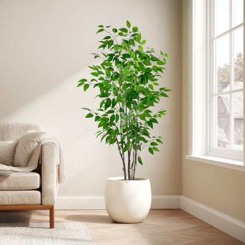 5ft Artificial Ficus Tree with White Plastic Planter | Collapsible trunk structure enables quick assembly and compact space-saving storage - color: Green, size: 5ft