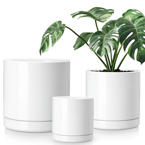 vancasso Ceramic Planters, Plant Pots for Indoor Plants, 6.25+8.25+10.25 Inch Ceramic Pots for Plants, Flower Pots with Drainage Holes, Planters Pot for Indoor House Plant, Set of 3, White - color: White, size: 6.25 + 8.25 + 10.25 Inch