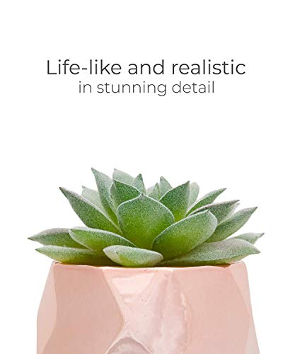 Nordik Set of 4 Desk Plants in Rose Gold - Office Decor for Women, Indoor, Living Room, Bedroom, Home and Desk Decor – Pink Faux Succulents Geometric Ceramic Planters - color: Rose Gold