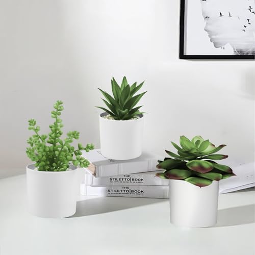 Hopewood Succulent Plants Artificial in White Pots Small Faux Potted Succulents Fake Plants in Vase Set of 3 - color: Faux Plants-white