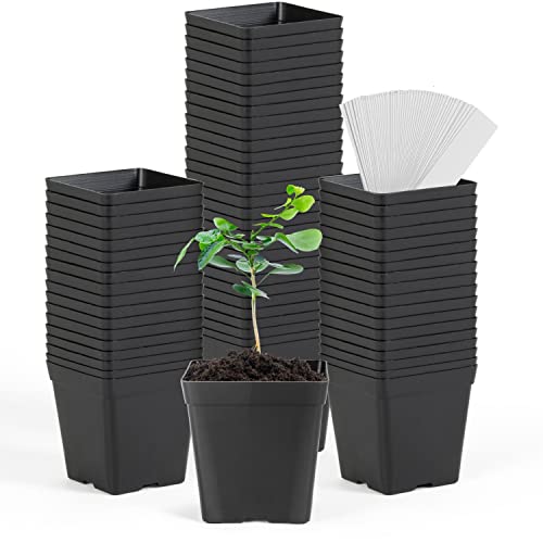 June Fox Square Nursery Pots 3.3 Inches Flexible Plastic Seedling Pots Square Pots for Plants, Succulent, Flower, Pack of 100, with 100 PCS Plant Labels - color: 100 Pcs