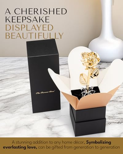 Forever Rose 24K Gold Dipped Real Rose – Handmade, Long-Lasting Preserved Flower in Bloom Box & Vase – Romantic Gift for Anniversary, Valentine's Day, Mother's Day, Birthday, Wedding, Wife, Girlfriend - color: Bloom Box