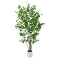 7ft Artificial Ficus Tree with White Plastic Planter | Collapsible trunk structure enables quick assembly and compact space-saving storage - color: Green, size: 7ft