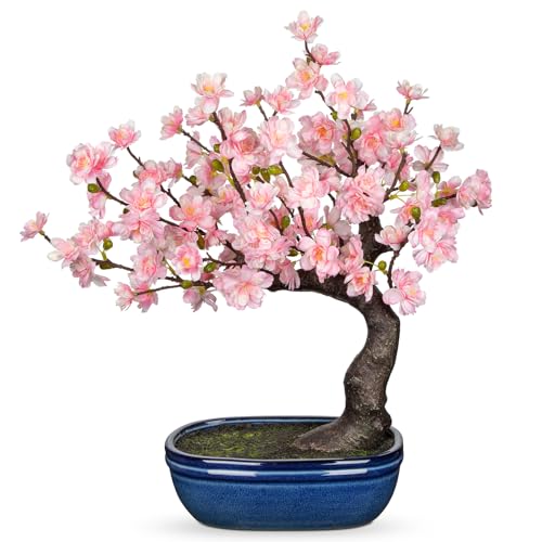 Artificial Cherry Blossom Bonsai Tree in Kiln-Glazed Ceramic Pot, Fake Sakura Flower Desktop Bonsai Plant, Real Touch Silk Cherry Flowers with Twisted Trunk for Home Office Table Zen Japanese Décor