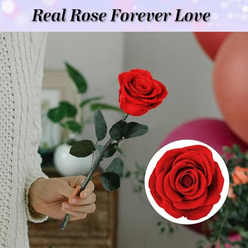 Childom Mothers Day Rose Gifts for Mom,Birthday Gifts for Women,Mothers Day Flowers Gifts for Mom from Daughter Son,Preserved Red Rose Flower Gift for Her,Wife,Grandma,Women,Christmas,Anniversary - color: Preserved Red Rose