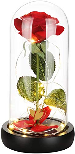 Beauty and The Beast Rose Set-The Best Holiday Surprise Gift for Mothers, Beautifully Decorated With Red Silk Roses, LED Lights, Dome Glass and Wooden Base - color: Black Base