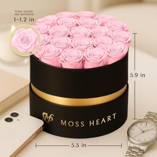 20 Mini Preserved Roses, Round Luxury Gift Box, Real Forever Roses Last 1+ Year, Premium Romantic Gift for Women, Wife, Girlfriend, Mother’s Day, Birthday, Anniversary, Valentine’s Day - color: Light Pink, size: 20 Roses