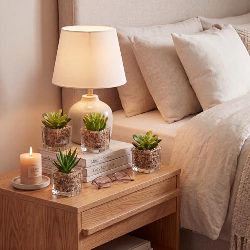 Briful Set of 4 Succulents Plants Artificial in Clear Glass Pots Small Fake Succulents Plants Mini Faux Plants Indoor for Window Sill Office Table Desk Shelf Bathroom Decor - color: Succulents #03