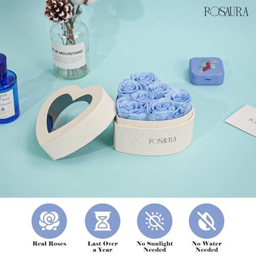Rosaura Heart-Shaped Preserved Roses Gift Box - Real Forever Flowers for Christmas, Birthday, Valentine's & Mother's Day (Sky Blue, 7 roses) - color: Sky Blue, size: 7 roses