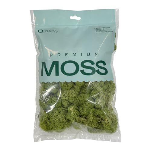 Preserved Reindeer Moss - Moss for Crafts, Home Decor, Art, Design & DIY Projects - Non-Toxic - USA Made (Spring Green, Medium) - color: Spring Green, size: Medium