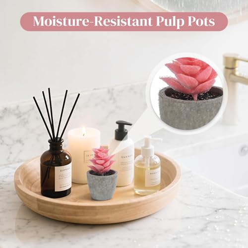 DomeStar Set of 6 Artificial Succulent Plants Potted, Assorted Decorative Pink Faux Succulent Potted Fake Cactus Cacti Plants with Pots - color: Pink