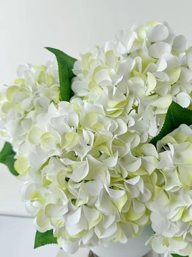 ZYTUYO 5 Pcs White & Light Green Silk Hydrangeas Artificial Flower Boho Dried Touch 20'' Faux Hydrangeas for Indoor Home Decor Kitchen Living Room Outdoor Porch Wedding Flower Arrangement - color: White & Light Green