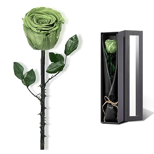 Green Flowers for Delivery Prime, Preserved Green Roses Flower Gifts for Women, Real Roses Single Rose Gifts for Her, Mom Birthday Gifts from Daughter, Valentines Flowers - color: 14-yellow Green