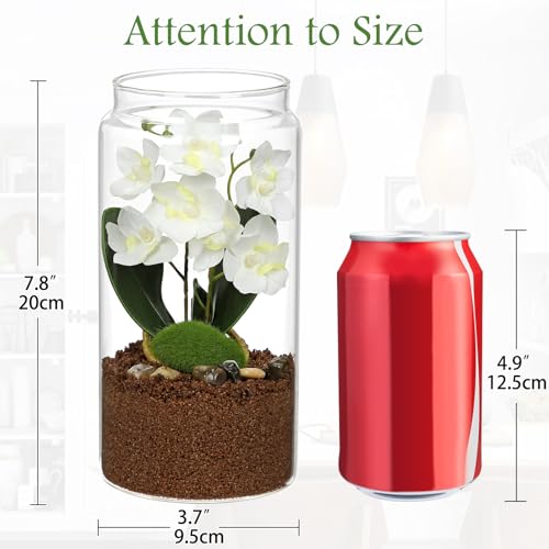 White Orchids Artificial Flowers with Vase, Small Faux Orchid Arrangement Fake Orchids Plant in Terrarium Jar Small White Orchid Centerpieces for Kitchen Dining Room Tables Bathroom Nightstand Decor - color: White + Brown Sand