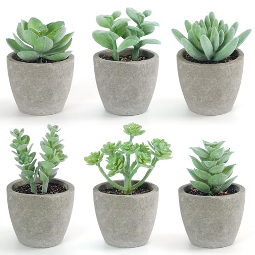 DomeStar Set of 6 Artificial Succulent Plants Potted, Assorted Decorative Faux Succulent Potted Fake Cactus Cacti Plants with Pots - color: Green