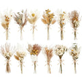 12/24 Pack Dried Flowers for Vase Various Mini Bouquet Dried Small Wildflowers Natural Real Flowers Bulk for Crafts DIY Wedding Decor (12, Plain Colour) - size: Plain Colour