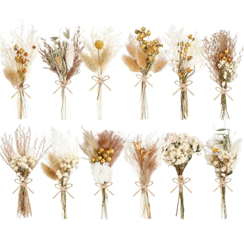 12/24 Pack Dried Flowers for Vase Various Mini Bouquet Dried Small Wildflowers Natural Real Flowers Bulk for Crafts DIY Wedding Decor (12, Plain Colour) - size: Plain Colour