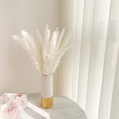 30 Pcs White Pampas Grass ,17 inch/45 cm Natural Dried Pampas Grass Branches Decor for Home Kitchen Garden Party Photographing Flower Arrangement Vase Decor（White - color: White