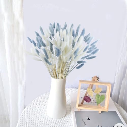 CISDUEO 120pcs Dried Bunny Tails Flowers Lagurus Ovatus Tail Dried Flowers Pampas Grass White and Gray Natural Dried Floral Arrangement for Boho Decor Home Wedding DIY Farmhouse Table Christmas (17") - color: White and Grey