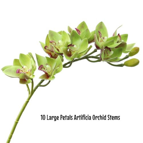 XIYUAN 28.5inch Artificial Phalaenopsis Flowers 2 Bunch 10 Large Petals Orchids Fake Cymbidium Flowers Artificial Orchid Flowers Stem Plants Latex Phalaenopsis Branches for Home Décor (Green) - color: Green 10 Heads