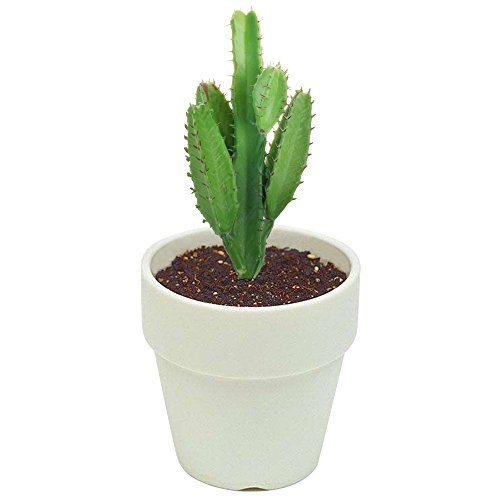 Bluecell 2pcs Real Looking Artificial Cactus Plant DIY Material for Home Decoration Flower Arrangement