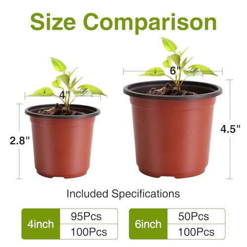 Delxo 100 Pcs 6 Inch Plants Nursery Pots Reusable Plant Seeding Nursery Pot Waterproof Plastic Pots Seed Starting Pots - size: 6 Inch
