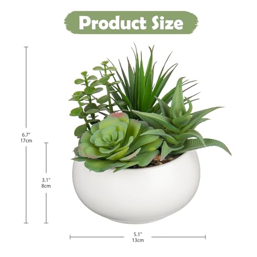 Hollyone Fake Plants Artificial Succulents in Pots Faux Succulent Arrangement Potted Plant with White Ceramic Pot for Home Decor Modern Office Desk Bathroom Shelf Living Room Indoor Decoration - color: Matte White