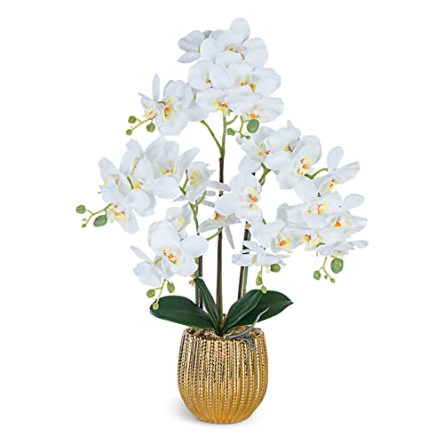 Ziwon Artificial Orchid Flowers & Plants Potted in Ceramic Pot, White Faux Phalaenopsis Orchids for Table Centerpiece, Realistic Fake Flower Arrangement for Home Office Decor Indoor - color: White & Gold 04