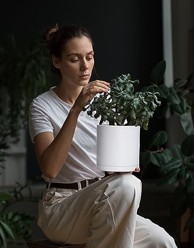 D'vine Dev 2 Pack 6.5 Inch Modern Plastic Plant Pots, Small Garden Planters for Plant with Drainage Holes and Saucers, White Color, 74-Z-L-1 - size: 6.5"