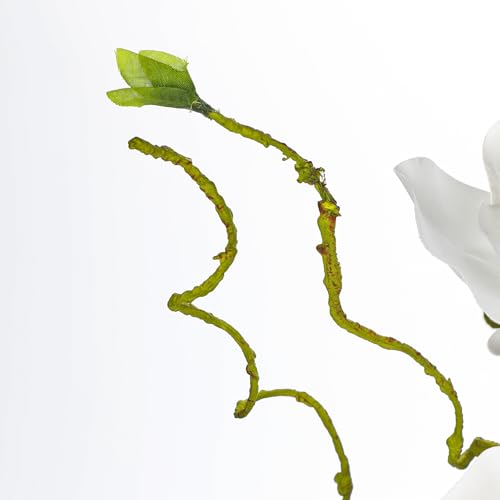 DILATATA Faux Flowers in Vase 14.5" Magnolias Flowers Arrangement with Faux Water Real Touch Flowers for Wedding Table Centerpiece Home Decor, White - color: White-magnolia#2