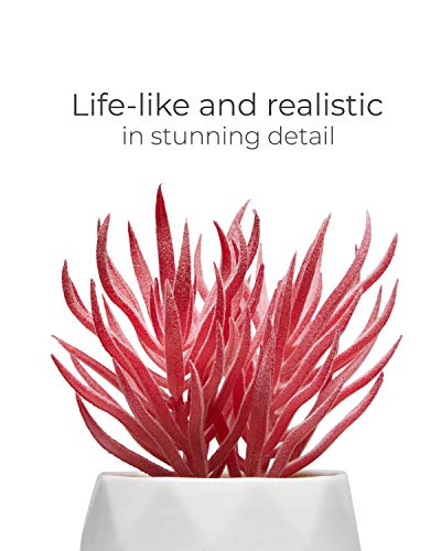 Nordik Set of 4 Desk Plants - Office Decor for Women Desk, Indoor, Living Room, Bedroom, Home and Desk Decor – Pink Faux Succulents in white Geometric Ceramic Planters - color: Ceramic White