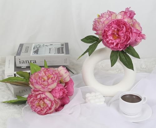 Dark Pink Peonies Silk Flowers 2 Bouquets Fake Peonies 14 Heads Faux Peony Flowers with Stems for Wedding Decoration Bride Bouquet Faux Flowers Crafts Floral Arrangement (Dark Pink) - color: Dark Pink