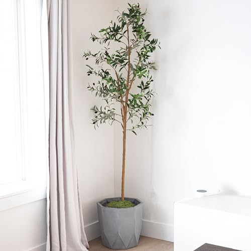 Sunnydaze Fake Olive Tree - 7ft Tall Faux Olive Tree with Pot - Indoor Artificial Plant with Black Weighted Base and Silk Leaves - Set of 2 - size: 7 ft