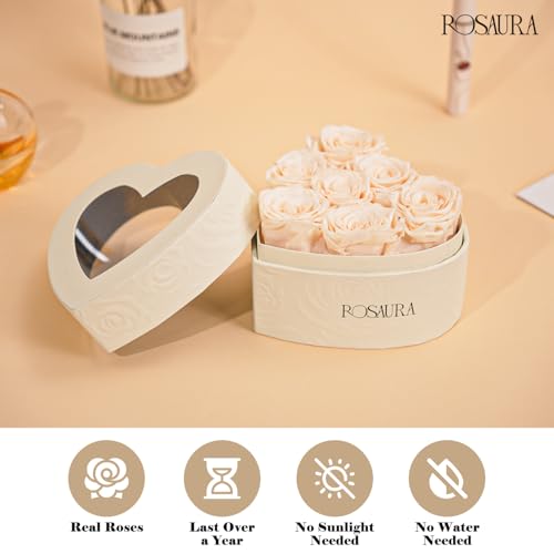Rosaura Heart-Shaped Preserved Roses Gift Box - Real Forever Flowers for Christmas, Birthday, Valentine's & Mother's Day (Champagne, 7 roses) - color: Champagne, size: 7 roses