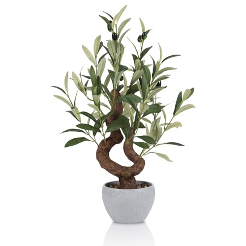 TOARTi Artificial Olive Tree Potted Plant with Stone Pot, 10" Tall Japanese Bonsai Tree Faux Plants Desk Plant, Realistic Greenery Decor for for Home Bedroom Bathroom Office Desk - color: Olive-single Stem Small Arc 10''