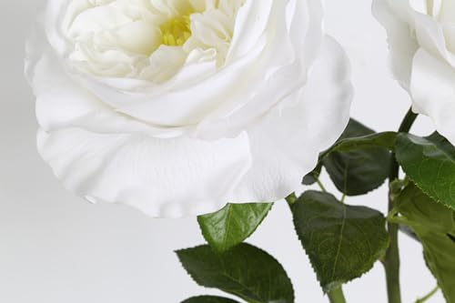 2Pcs 5.12" Silk Roses Big Bloom Fake White Rose with Stems 25.60" Long Real Touch Faux Rose Peonies Artificial Flowers for Arrangement Wedding Home Kitchen Spring Table Centerpiece (White) - color: White