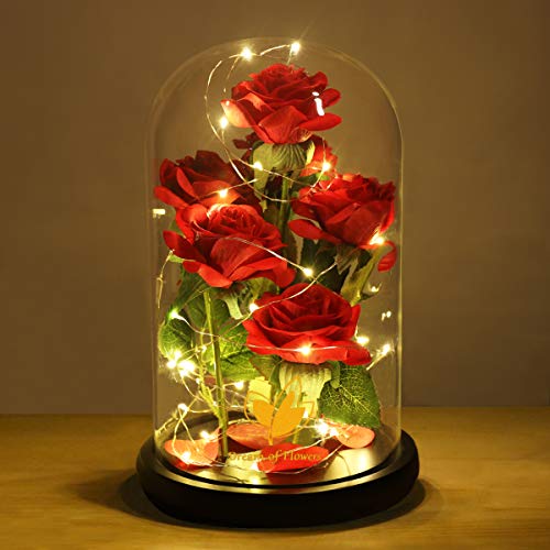 Mothers Day Rose Gifts for Women,Beauty and Beast Rose in Glass Dome with LED Light,Glass Rose Flower Gifts for Family Valentines Birthday Gifts for Women Mom Wife Girlfriend Friend Forever Red Rose - color: Charming Rose