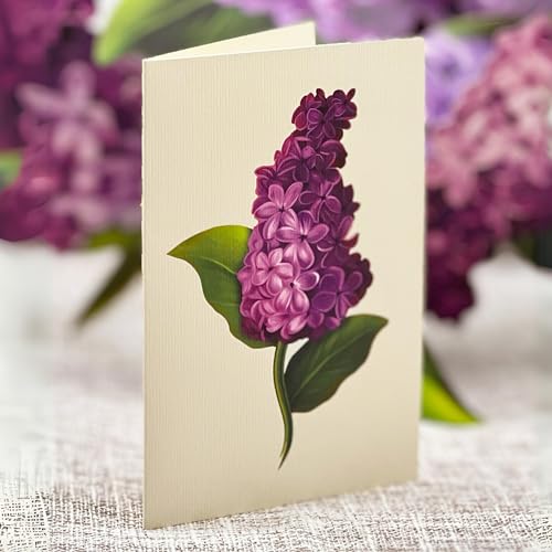 Freshcut Paper Pop Up Cards, Garden Lilacs, 12 Inch Life Sized Forever Flower Bouquet 3D Popup Greeting Card, Birthday Cards, Thank You Card, Blank Notecard & Envelope - color: Garden Lilacs, size: Classic
