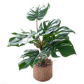 12.6" Fake Plant with Rustic Ceramic Vase, Faux Monstera Plant Indoor, Realistic Looking Small Artificial Farmhouse Plant, Medium Artificial Plants Bathroom Kitchen Housewarming Gift