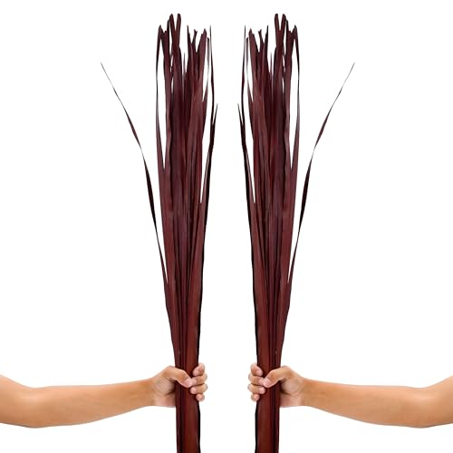 Leewadee Tall Vase Filler , Dried Palm Leaves – 2 Bunches of Colored Decor for Floor Vases, Naturally Dried Arrangements for Vintage Or Modern House Decor, 45 inches, Bordeaux - color: Bordeaux, style: Palm Leaf