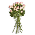 Floral, Rose, 16 Stems