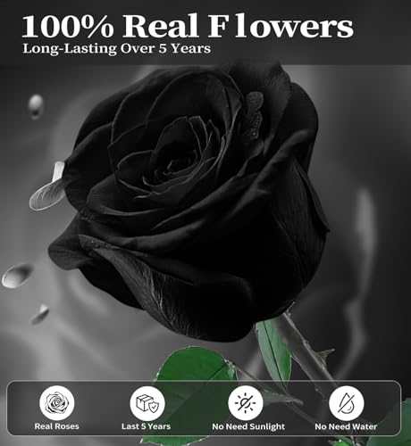 Preserved Flowers for Delivery,Black Rose Bouquets That Last 5 Years,Birthday Flowers Gifts for Women Mom Grandma Wife Friends,Mothers Day Roses Gift,Romantic Floral for Anniversary or Valentine’s Day - color: Black, size: Single Rose