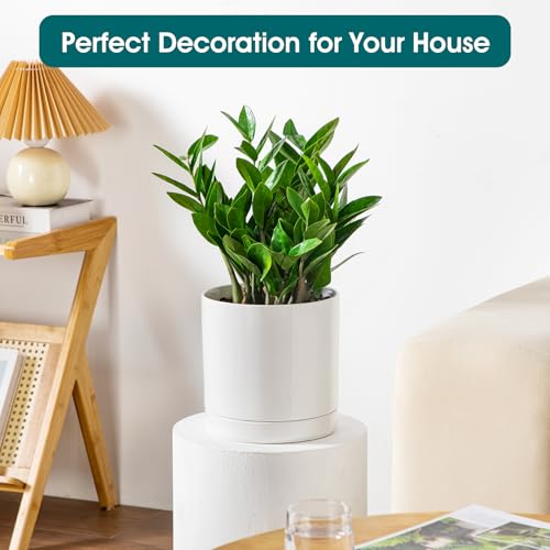 vancasso Ceramic Plant Pots, 8.25 Inch Ceramic Pot for Plants, Planters Pots for Indoor Plants with Drainage Holes, Flower Pot for Indoor House Plant, White - color: White, size: 8.25 Inch