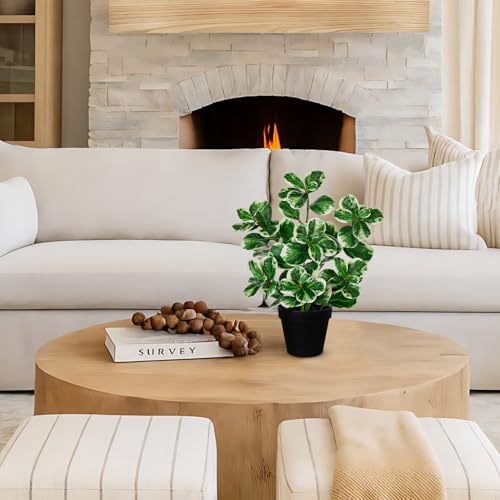 17" Artificial Rubber Plant in Black Pot, Faux Ficus Plant Potted with Cream White Edge Foliages, Fake Greenery Plant for Home Office Tropical Decor - size: 17" & Small