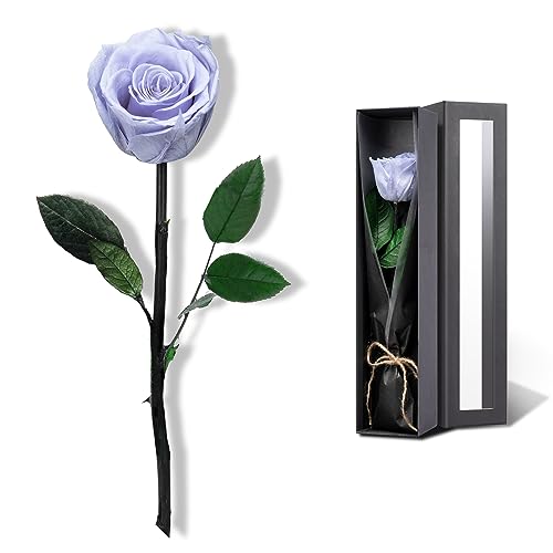 Blue Flowers for Delivery Prime, Preserved Blue Roses Flower Gifts for Women, Real Roses Single Rose Gifts for Her, Mom Birthday Gifts from Daughter, Solid Lilac Roses - color: 09-solid Lilac