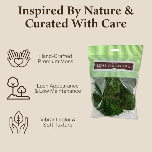 Preserved Mood Moss - Premium Decorative Moss for Crafts, Home Décor, Art, Design & DIY Projects - Real Moss- Non-Toxic - USA-Made- Natural Green, Medium 2-Pack - color: Mood Moss, size: Medium (2-Pack)