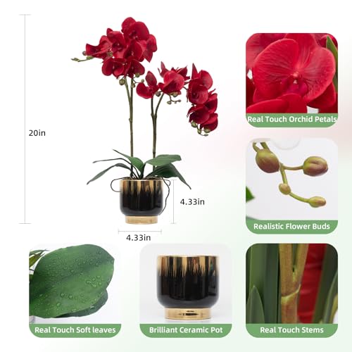 CXGS Orchids Artificial Flowers Real Touch Fake Flowers in Ceramic Pot 20" Red Faux Orchid Plant Lifelike Silk Phalaenopsis for Centerpiece Hotel Home Indoor Decor - color: Red- Blackgold Vase